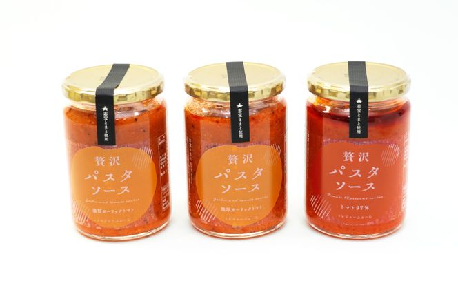 濃厚パスタソース詰め合わせ [モアショップヤマモト 石川県 宝達志水町 38600430] 