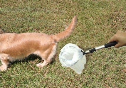 A-157 わんわんエチケット