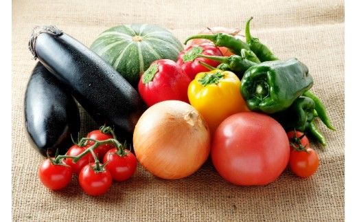 毎月お届け!おおいたの旬野菜4月から半年間定期便/計6回発送_1775R
