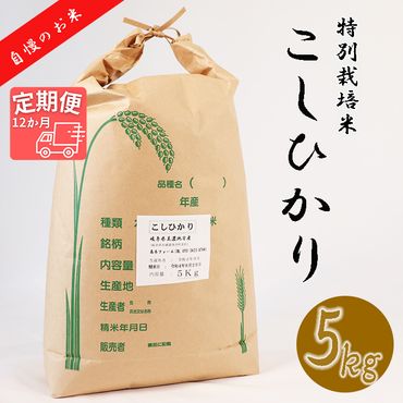BI-20 【12か月定期便】【特別栽培米】垂井町産コシヒカリ(5kg×12回）
