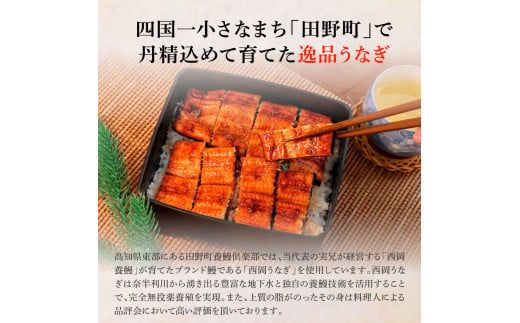 田野町産うなぎの蒲焼き(小) 3尾×6回 定期便 6ヶ月 定期コース 1尾あたり90～120g タレ付き 山椒付き うなぎ 鰻 ウナギ 蒲焼き かば焼き 無頭 おいしい 国産 お取り寄せ 冷凍 配送
