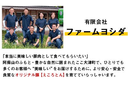 えころとん・豚肉4種(計1050g)　ゆずたましゃぶセット《60日以内に出荷予定(土日祝除く)》熊本県産 有限会社ファームヨシダ---so_ffarmy4yzp_60d_23_17000_1050g---