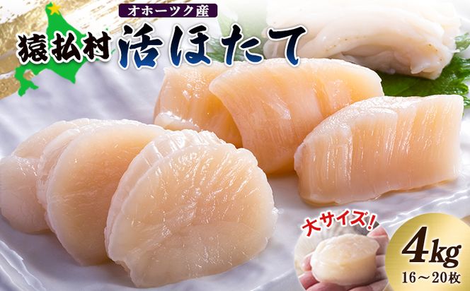 「活ほたて」大サイズ４ｋｇ（16～20枚） オホーツク産【16017】