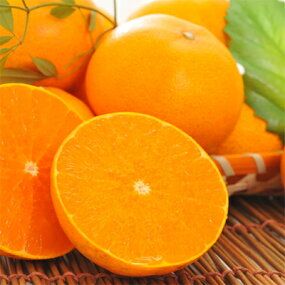 【高級】柑橘の王様　和歌山の濃厚せとか　約4～5kg ※2024年2月下旬～3月下旬頃に順次発送予定 ※沖縄地域へのお届け不可