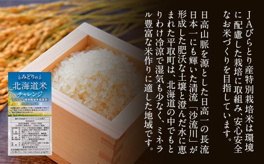 【特別栽培米】北海道で１番人気！「ニシパの恋人」ななつぼし　5㎏ ふるさと納税 人気 おすすめ ランキング ニシパの恋人 ななつぼし お米 米 ご飯 白米 おいしい 北海道 平取町 送料無料 BRTH013