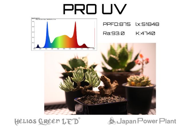 BN036-1　人気モデルPROに新ラインナップ「Helios Green LED PRO　UV」