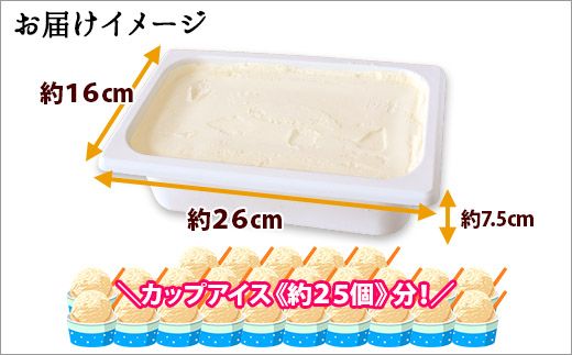 594.アイスクリーム ミルク みるく ジェラート 業務用 2リットル 2L アイス 大容量  手作り 北海道 弟子屈町