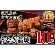 うなぎの大楠＜大＞10尾セット計1.5kg(150g×10) f7-001