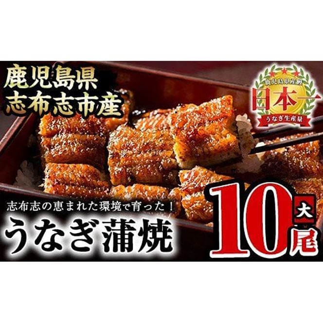 yuzuszȂ̑큃偄10Zbgv1.5kg(150g×10) f7-001