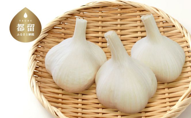 yRsszAF004@Ɖu͌@yʁzssY@]ɂɂ