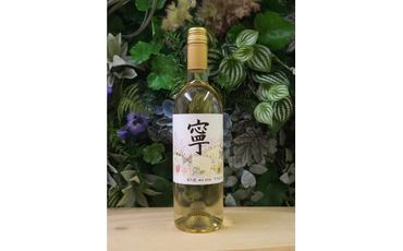 春日井ワイナリ－春の風 (寧)デラウェア 白ワイン 750㎖