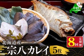 【定期便】北海道 産 一夜干し 宗八 カレイ 5枚 × 8ヵ月 【全 8回 】