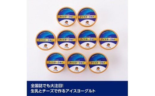 アイスヨーグルトセット 【 アリマン 菓子 デザート 詰め合わせ アイス ヨーグルト 】 [E2903]