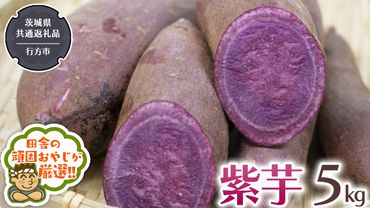 紫芋 5kg 【令和6年12月から発送開始】（県内共通返礼品：行方市産） さつまいも 紫芋 芋 いも 野菜 [BI414-NT]