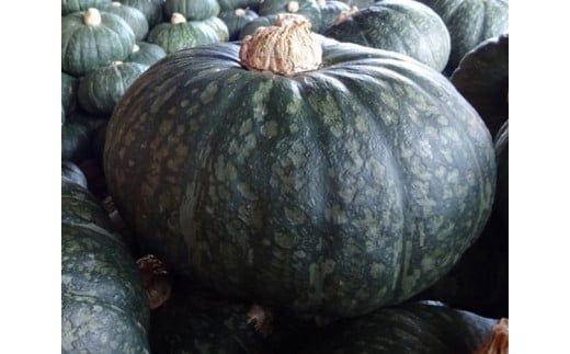 E067 蜂蜜屋さんの手作りハニージャム