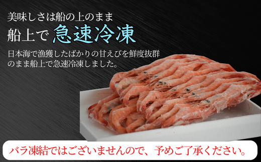 【甘えび 刺身用 (30～40尾) 約700g 兵庫県香住産 冷凍 】※発送目安：入金確認後、順次発送 日本海で水揚げされた鮮度抜群の甘えびを水揚げ後、すぐに船内で急速冷凍した商品です。鮮度抜群 漁師が食べている新鮮な旨みをたっぷり味わってください。大人気 ふるさと納税 送料無料 香美町 香住 柴山 刺身 唐揚げ 味噌汁 海鮮丼 エビ 宿院商店 33-04