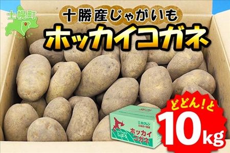 北海道 じゃがいも ホッカイコガネ 10kg 北海道産 十勝産 北海こがね 北海コガネ 北海黄金 ジャガイモ 芋 いも ポテト お取り寄せ まとめ買い 送料無料 十勝 士幌町【V06】