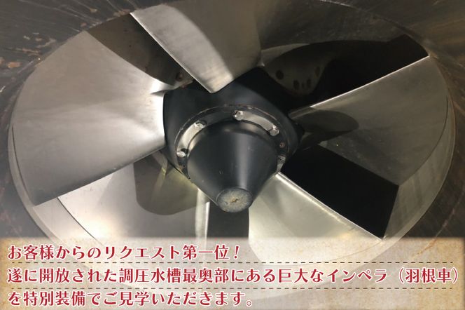 BM003-1 見どころ満載！首都圏外郭放水路インペラ体験コース1名様チケット（引換券）