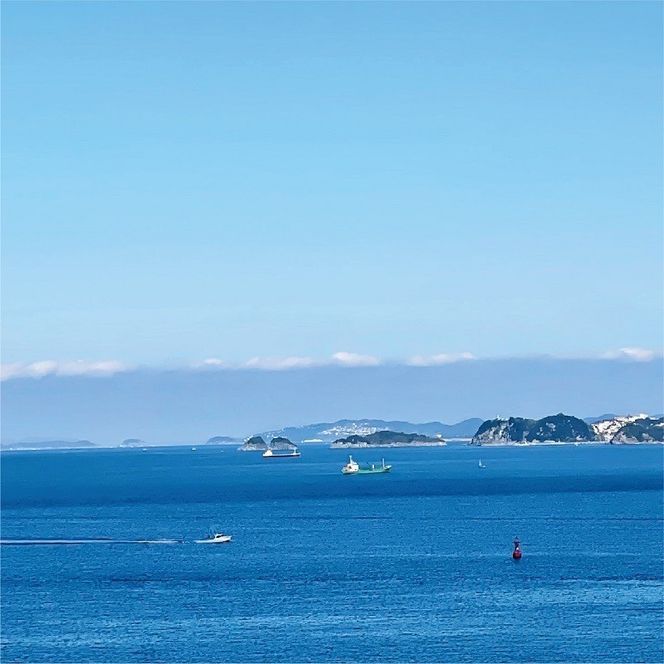 535.しらす職人が目利きした「釜揚げしらす」1.6kg(A-535-2)