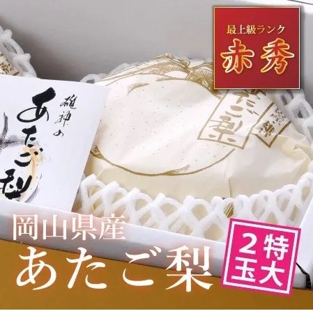 岡山県産「あたご梨」特大2玉【2024年産先行予約】24-018-016