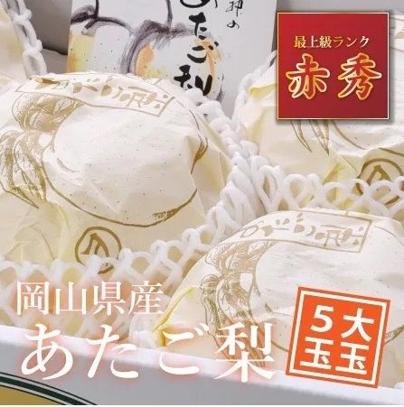 岡山県産「あたご梨」大玉5玉【2024年産先行予約】24-023-002