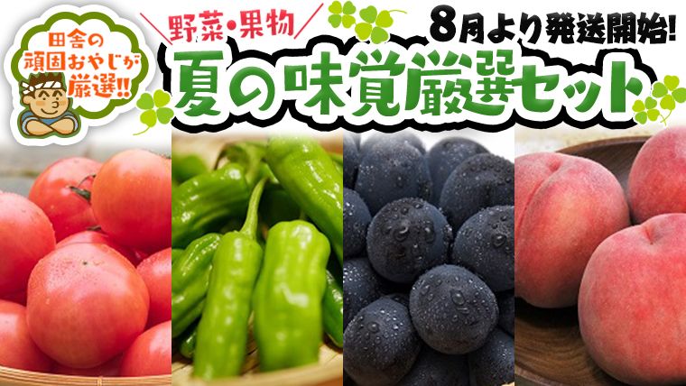 夏の味覚(野菜・果物)厳選セット[8月より発送開始]田舎の頑固おやじが厳選! [BI183-NT]