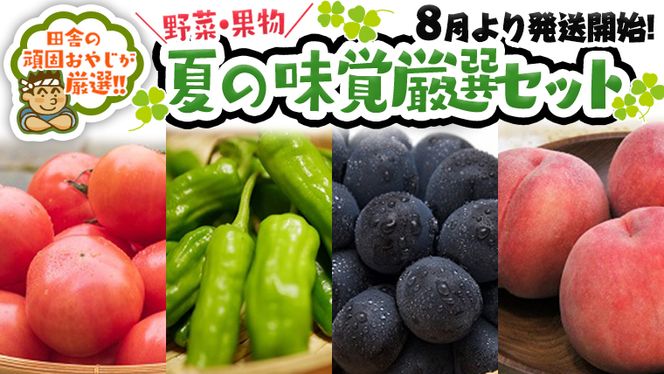 夏の味覚（野菜・果物）厳選セット【8月より発送開始】田舎の頑固おやじが厳選！ [BI183-NT]