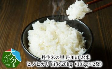 【B01029】丹生米の里 丹川のお米 ヒノヒカリ白米 20kg（10kg×2袋）