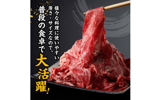 宮崎牛 切り落とし 2kg 【 肉 牛肉 国産 宮崎県産 黒毛和牛 切り落とし 】[D11423]