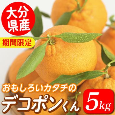 とらふぐ 一夜干し セット(合計約600g・一夜干し200g×3P 干しヒレ10g