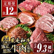 isa585 【定期便12回】満足贅沢 牛肉定期便(合計9.3kg超) 肉 牛肉 霜降り すきやき しゃぶしゃぶ 牛しゃぶ サーロイン リブロース ステーキ 冷凍 ロース カタロース 肩ロース BBQ アウトドア【サンキョーミート株式会社】