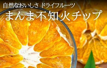 まんま不知火(しらぬい)チップ 200g(20ｇ×10袋) ドライフルーツ 和歌山県産果物使用 国内製造【みかんの会】AX265