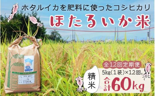[訳あり]ほたるいか米(精米5kg)×12回 計60kg[12ヶ月定期便]