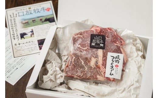 C034 山口放牧牛「ヒレ肉」