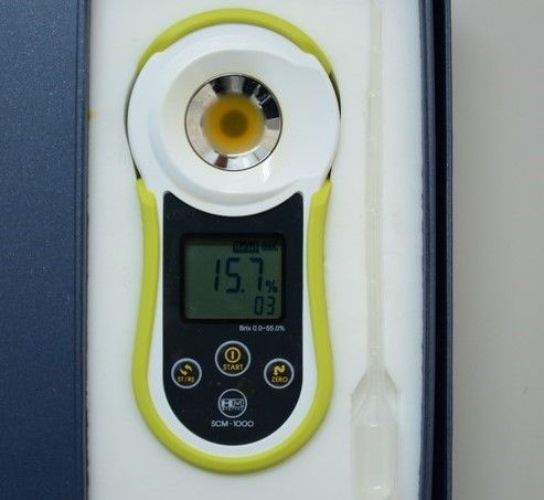 【数量限定】【期間限定】栃木県産ハウス栽培の絶品パッションフルーツ1kg ◇南国フルーツ◇ ※2026年6月～発送