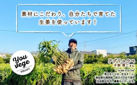 生姜好きさんにオススメ！ 濃厚 しょうがシロップ 2本セット【超辛口】国産 生姜シロップ 自家製 生姜 しょうが ショウガ ジンジャー シロップ アレンジ ドリンク 料理 調味料 高知 四万十 四万十市 しまんと 産地直送 25-758