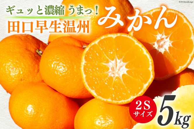 みかん 5kg【期間限定発送】ギュッと濃縮 うまっ！ 田口早生温州みかん(2S) [黒田農園 宮崎県 日向市 452060136] 果物 フルーツ ミカン 蜜柑 柑橘