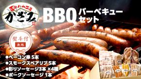 【 熨斗付き 】 ～ 匠のハム工房 ～ 燻製職人 ！ 風實 バーベキューセット ギフト 贈答用 詰め合わせ 冷凍 BBQ バーベキュー パーティー ベーコン ローズポーク スペアリブ ソーセージ ポークソーセージ 豚 かざみ 小分け [AJ003ci]