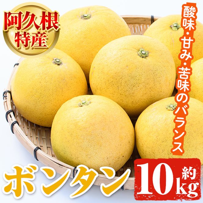 yvszs\tI2026N1ȍ~\聄vY {^(10kg) Y ʕ {^ ڂ񂽂 t[c XC[c p Mtg k Ԍyiʁzakn053-28