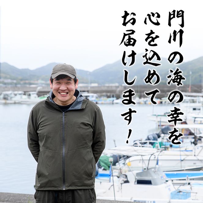 ＜訳あり・業務用＞数量限定！宮崎県産の釜揚げしらす(計2kg)小魚 魚介 海鮮 国産 冷凍【AS-4】【岩田水産】