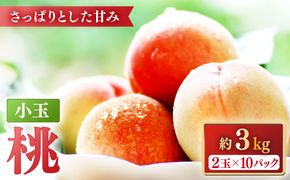 【2026年5月下旬～発送】【南島原の特別栽培】小玉ハウス桃【約3kg】（Mサイズ：10パック） / 桃 もも モモ ピーチ 3kg デザート 旬 フルーツ 柔らかい 果物 / 南島原市 / ふくはちファーム [SBS008]
