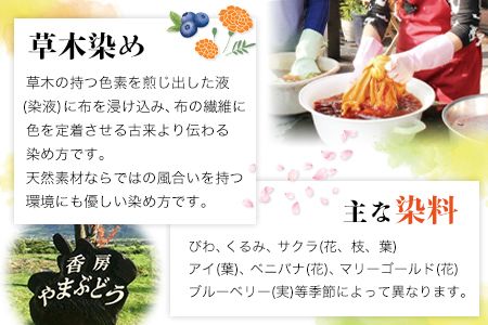 染物体験 香房やまぶどう《30日以内に出荷予定(土日祝除く)》熊本県 南阿蘇 体験 染物---isms_yamasome_30d_r7_9500_1i---