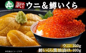 3097. 訳あり うに チリ産 冷凍 鱒 いくら 醤油漬け ウニ100g マスいくら 100g 雲丹 不揃い うに わけ あり 海鮮 丼 海鮮丼 刺身 うに丼 いくら丼 魚卵 自宅用 送料無料 北海道 弟子屈町