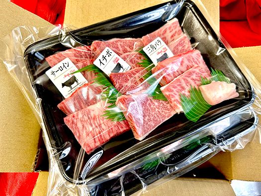 A4A5等級未経産雌牛　特選近江牛おすすめ部位　焼肉3種盛り　600ｇ【FO30SM】