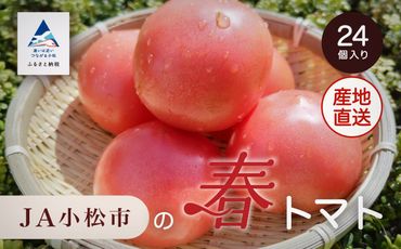 JA小松市の春トマト ( 24個 )　010010