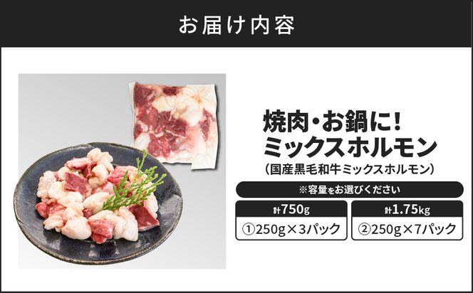 ＜容量選べる！＞焼肉・お鍋に！ミックスホルモン 750g or 1.75kg　K002-005