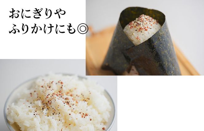 005A561 焼き肉専門店 梅じお ガーリック スパイス 90g×3袋 お試し