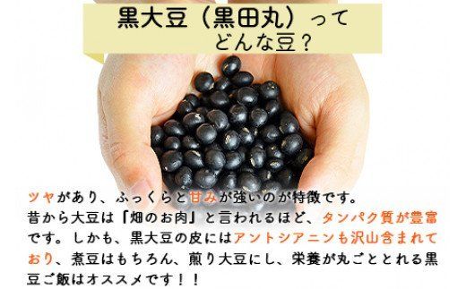＜黒大豆（黒田丸）180g×5袋＞翌月末迄に順次出荷【a0236_mw】