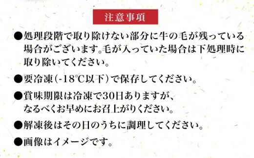 【全6回定期便】【化粧箱入】博多和牛 牛すじ切落し 1kg《築上町》【株式会社マル五】[ABCJ115]