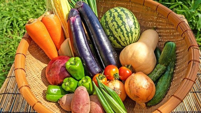 y@szyTԈȓɔz@Ƃꂽā@؁E܂ZbgyIAVXz_HA0778